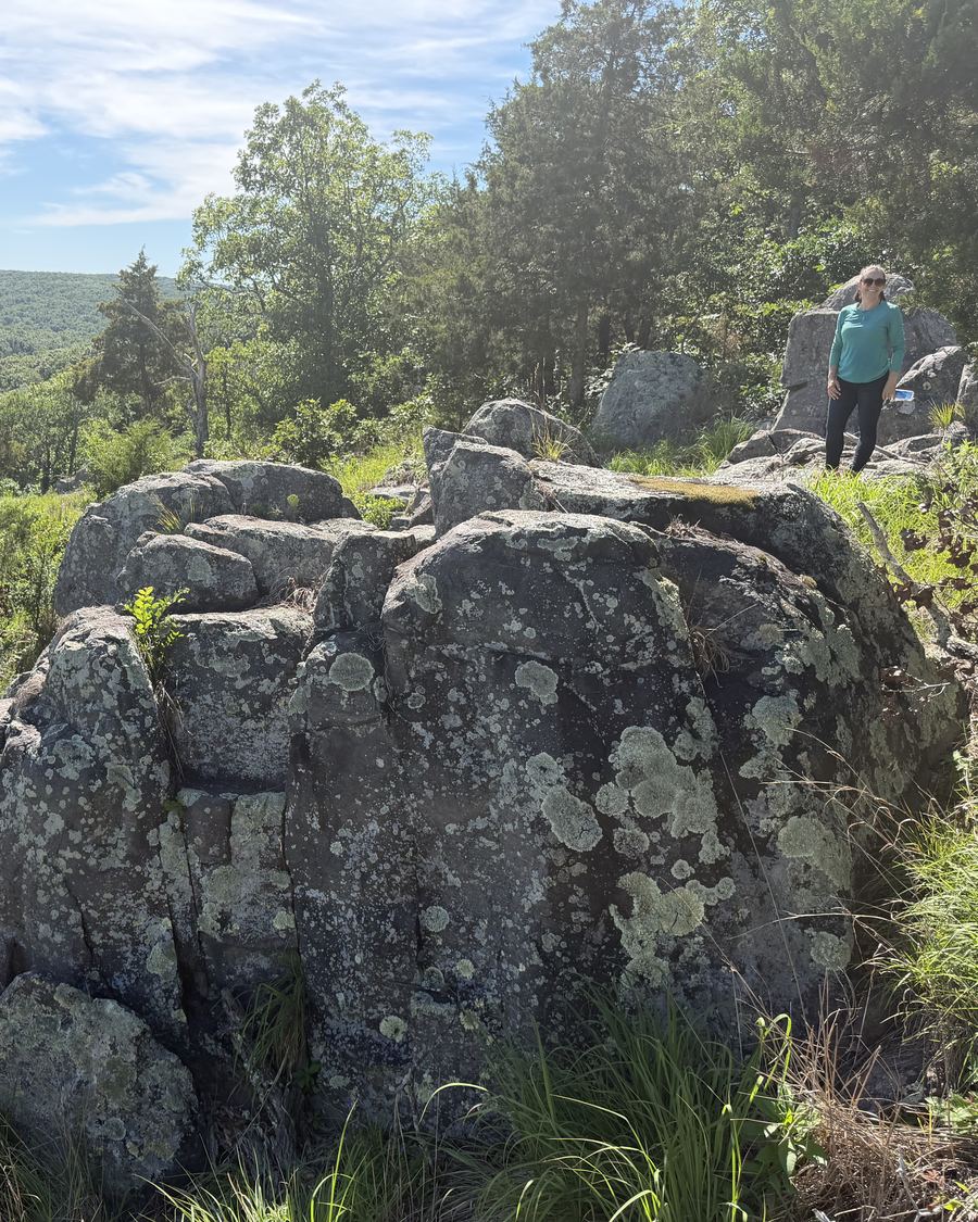 A lichen-covered granite outcrop with the valley behind it