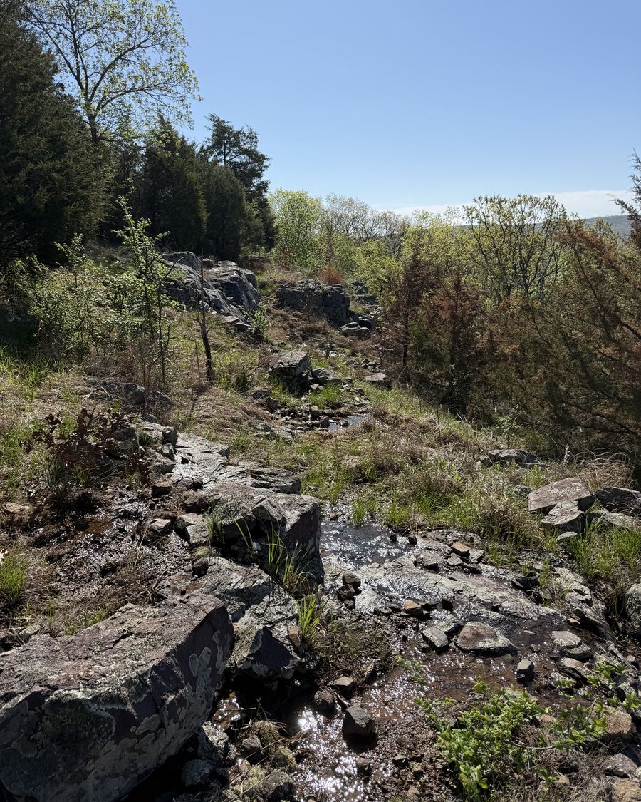 A spring running through rock and oak on the property